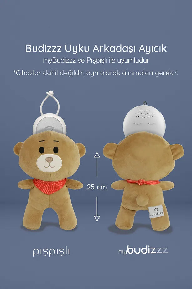 Budizzz Uyku Arkadaşı Ayıcık