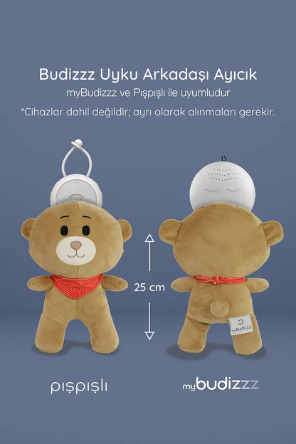 Budizzz Uyku Arkadaşı Ayıcık